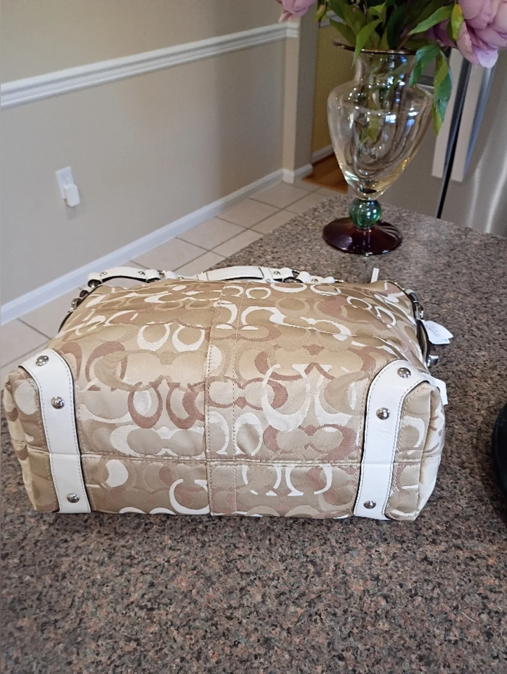 NWT Coach Opt Signatire Carly Hobo